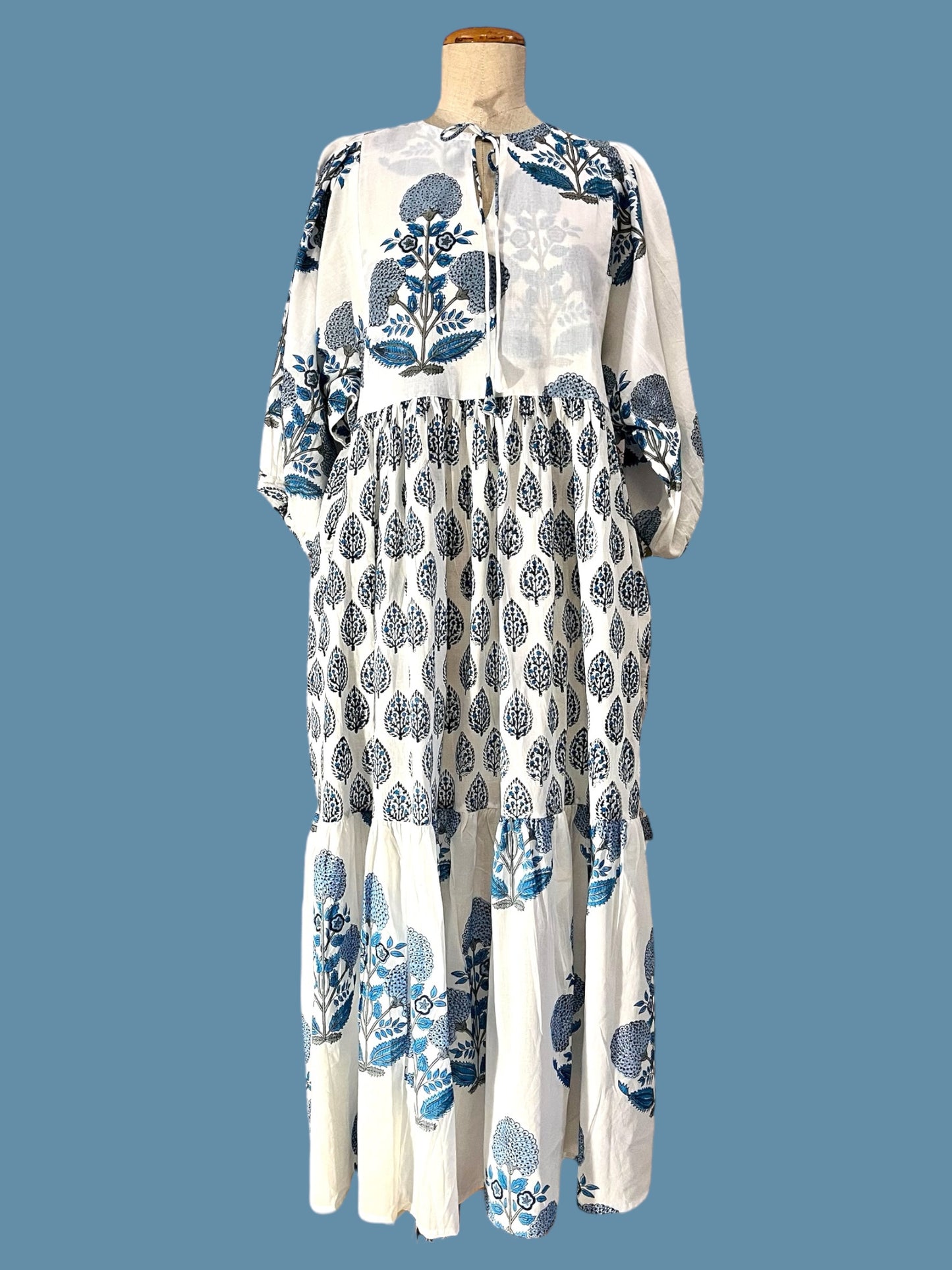 Blue print long dress